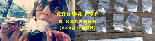 тгк Богданович