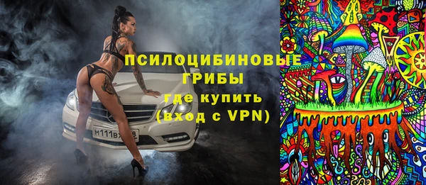 тгк Богданович