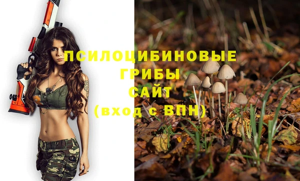 a pvp Богородицк