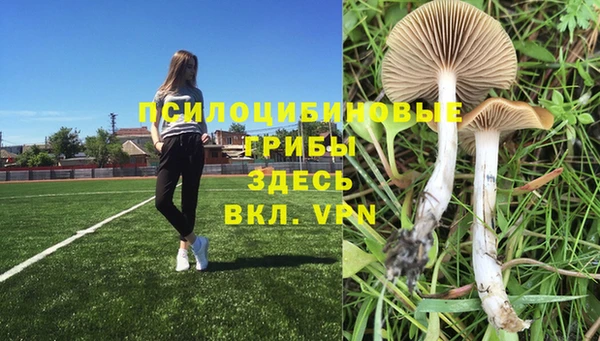 a pvp Богородицк