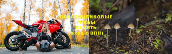 тгк Богданович