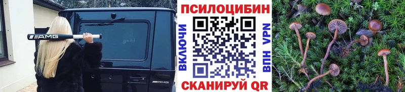 как найти наркотики  Курильск  кракен   Псилоцибиновые грибы MAGIC MUSHROOMS 